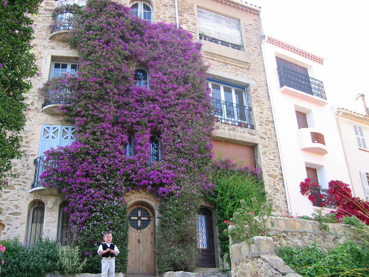 Rue Bougainvilliers