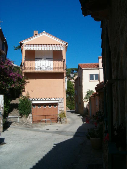 Rue de la Pleine des Anes (Æseldriver gaden)